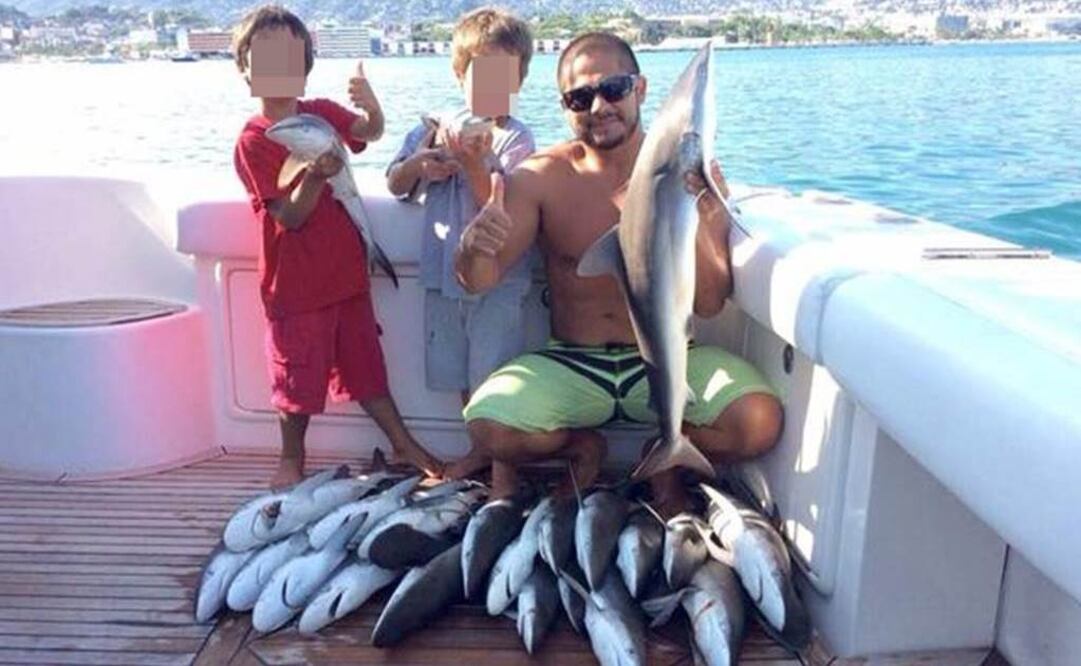 "No pescamos los tiburones, los rescatamos": ex candidato