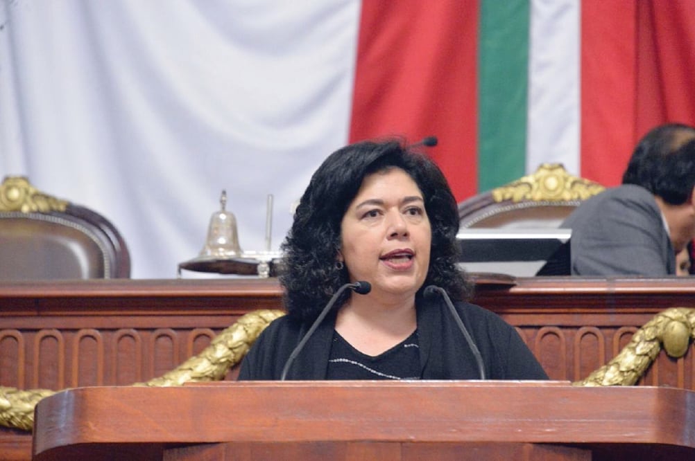 La presidenta de la Comisión de Presupuesto, Guadalupe Morales, dijo que se tomarán en cuenta a los legisladores para la distribución de los recursos (ARCHIVO EL UNIVERSAL)