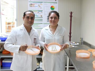 Científicos mexicanos crean cubiertos comestibles altamente nutritivos
