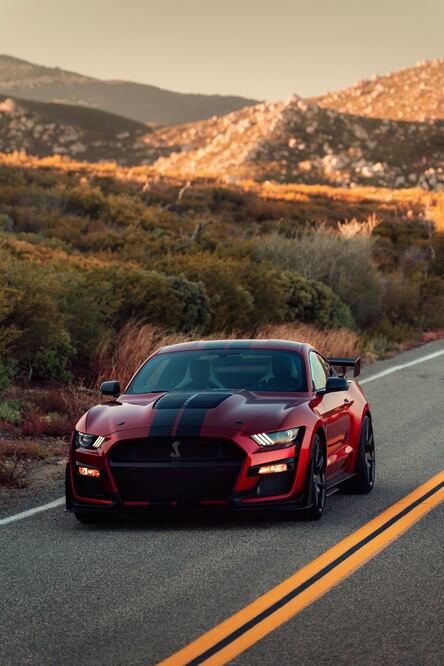 El primer Shelby GT500 2020 se subastó en 1 millón de dólares