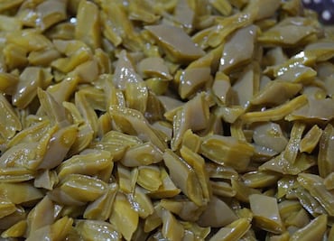 Qué pasa si diario comes nopales