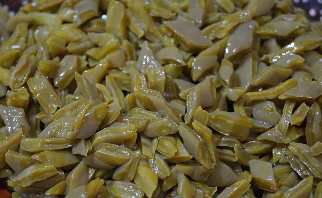 El nopal ocupa un lugar importante dentro de la cultura y gastronomía mexicana. Imagen Pixabay