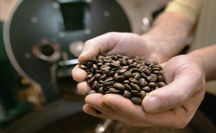 Mexico calls Mesoamerican countries to work jointly on coffee prices