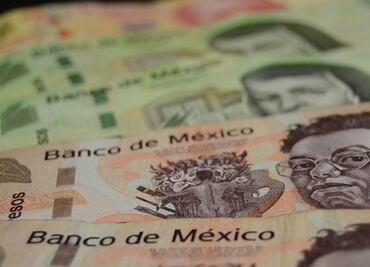 Existen riesgos de reducción de ingresos del gobierno en 2020: Fitch Ratings