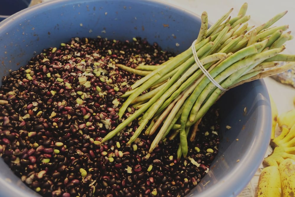 Frijol x´pelón, lo encuentras en los mercados locales recién desenvainados.