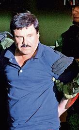 'El Chapo'. La caída del capo evasor