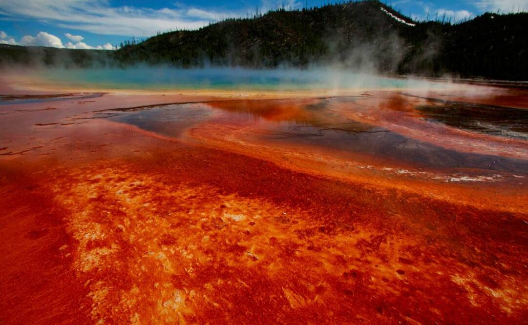 Estos microbios también fueron hallados en distintos entornos de la tierra y mar, en manantiales calientes bajo el parque Yellowstone. Foto: Archivo