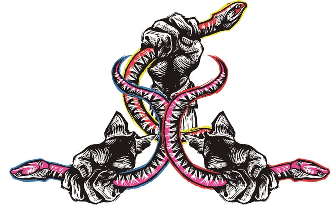 El fin de las disciplinas partidistas