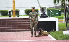 Reconocen trayectoria de "Hermes" en la Semar; elemento canino concluye su servicio activo en la Armada de México