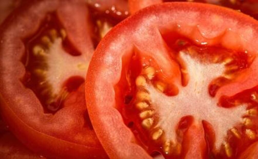 Alimentos que hidratan el cuerpo