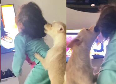 Madre graba a su hija mientras es atacada por perro; tiktokers la critican