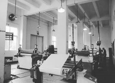 Gaby, la socia de Los Chapitos que prometió salvar al mundo… del alud plástico