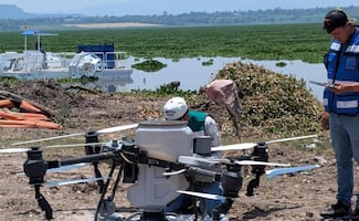 Conagua aplica agentes biológicos especializados para sanear Presa Endhó en Hidalgo; implementa acciones de control sanitario