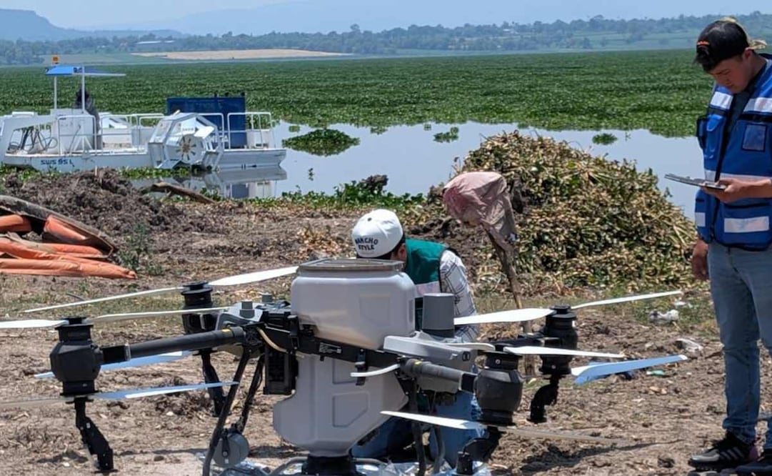 Conagua aplicó 600 kilogramos de agentes biológicos especializados para el control larvario en la Presa Endhó (20/05/2026). Foto: Especial