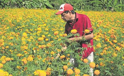 “Este año el regreso de las almas será especial”