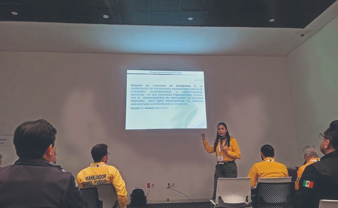 Laura Velázquez, coordinadora nacional de Protección Civil, detalló que se preparan 417 brigadas para combatir incendios forestales. TOMADA DE X