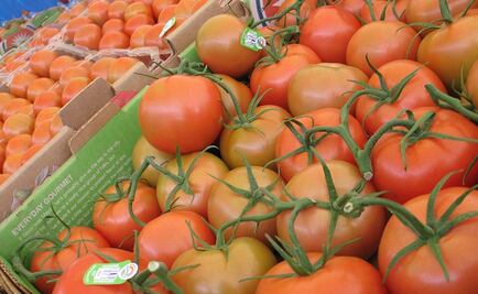 Exportadores de jitomate tienen audiencia en EU