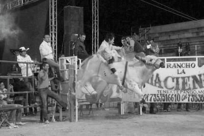 Denuncian la desaparición de 8 montadores de toros 