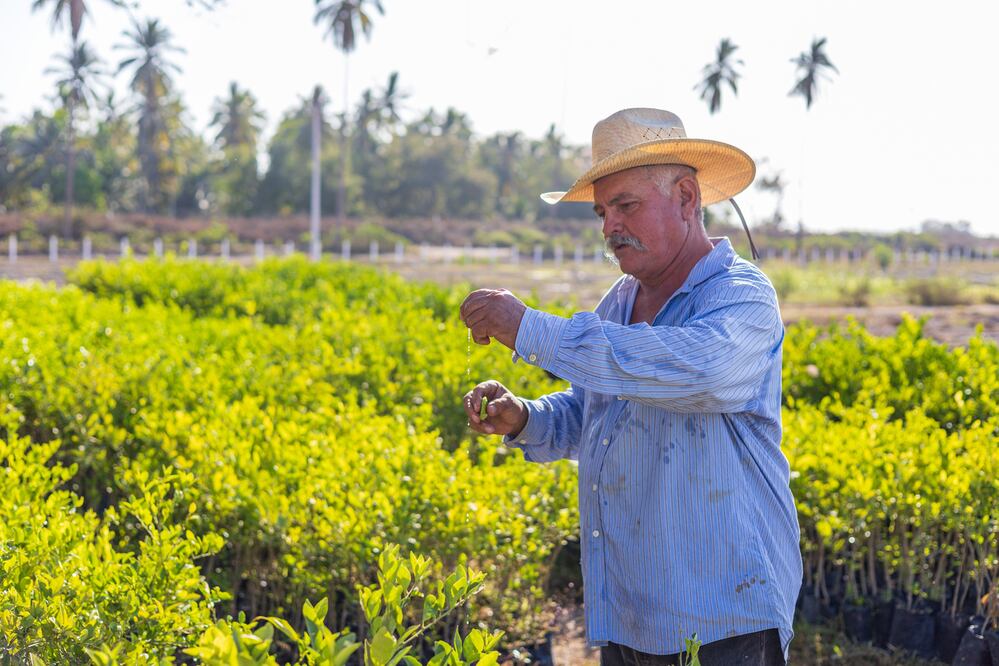 Foto: Gilberto Hernández  
