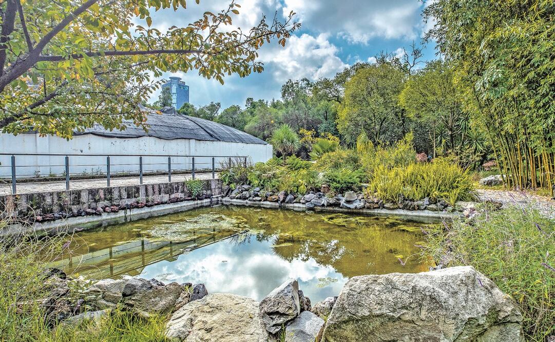 Foto: Archivo El Universal