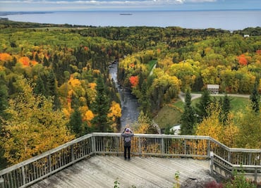 Travesía al norte de Quebec para ver osos grizzly y cascadas torrenciales