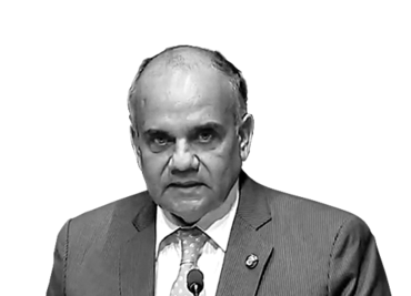 ¿Quién debe ser el guardián de la Constitución?