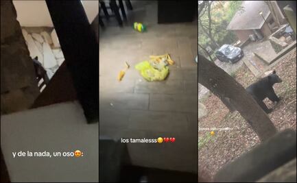 “¡Noooo, los tamales!”: oso irrumpe en cabaña y se come almuerzo de un grupo de chicas en Nuevo León