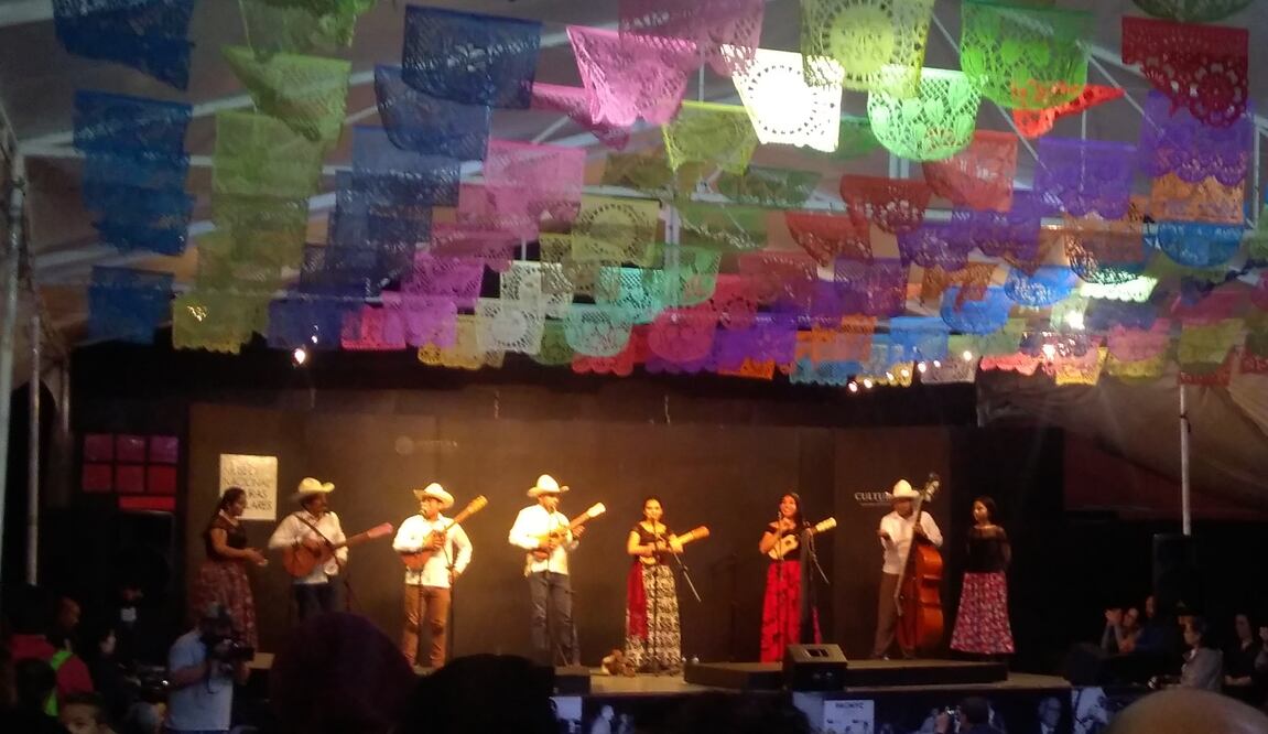 Una noche de son jarocho en la ciudad
