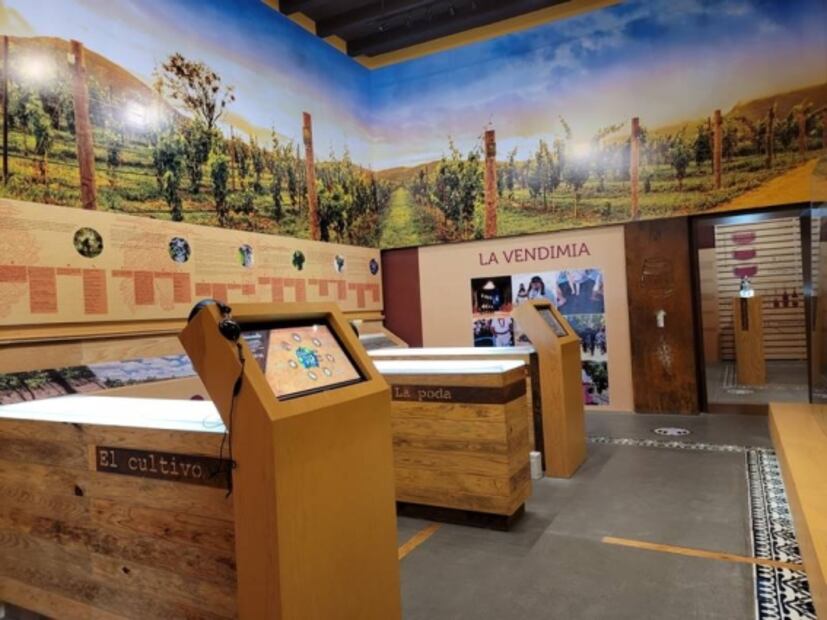 En este museo puedes beber vino y aprender sobre su proceso