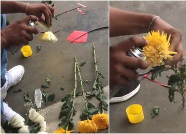 ¿Ella sabía que él sabía? Hombre se hace viral por pintar flores blancas de color amarillo