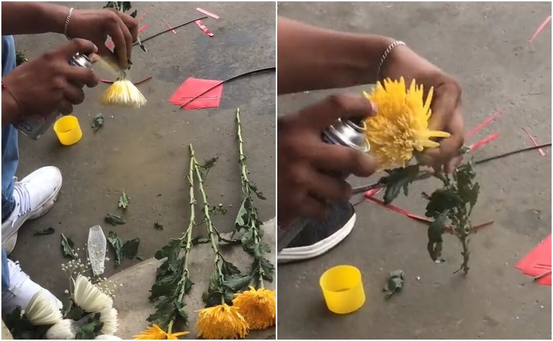 Al estilo de la reina roja, pero de amarillo: hombre cambia de color las flores. Foto: Captura de video tomada de "X" @AlcaldeNetito