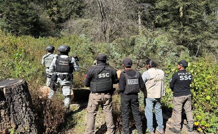 Detienen a un hombre por tala ilegal de árboles en alcaldía Tlalpan; fue puesto a disposición de la Fiscalía Ambiental