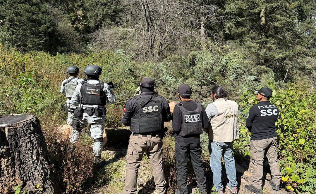 Detienen a un hombre por tala ilegal de árboles en alcaldía Tlalpan; fue puesto a disposición de la Fiscalía Ambiental. Foto: Especial