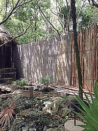 Acusa Roberto Palazuelos ataque teledirigido