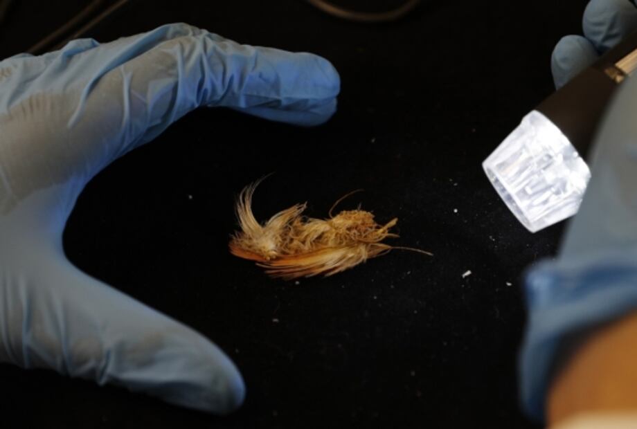 Tras 129 años, momia de una niña inca vuelve a su casa