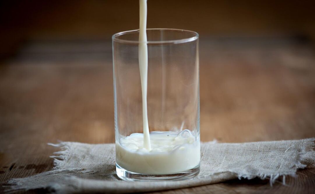La leche es un alimentos recomendado durante toda la vida. Foto: Pixabay