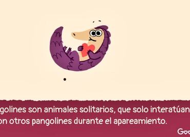 ¿Sabes qué es un pangolín?