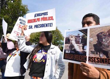 Activistas denuncian maltrato animal presuntamente ejercido por la Unidad de Control y Bienestar Animal