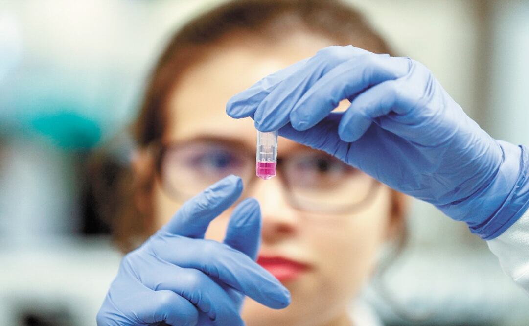 COVID-19 was declared a pandemic – Photo: Sebastiao Moreira/EFE