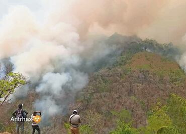Piden ayuda a otros países para salvar bosques del fuego