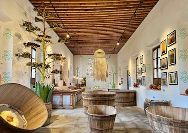 Qué hacer este fin de semana cerca de CDMX