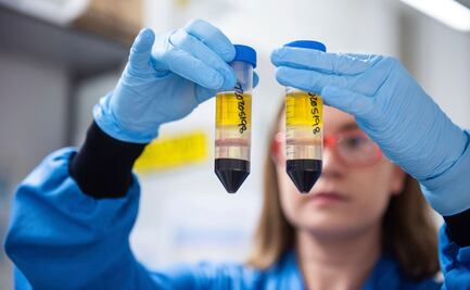 Tras error en vacuna de Oxford y AstraZeneca, ¿qué pasará con sus resultados?