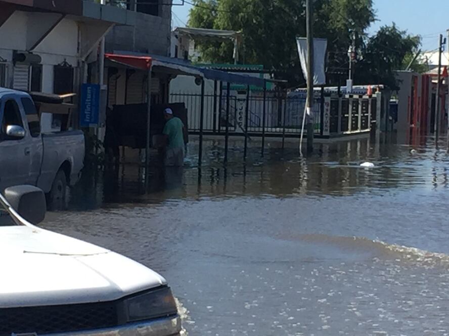 (Foto: Julio Manuel L. Guzmán)