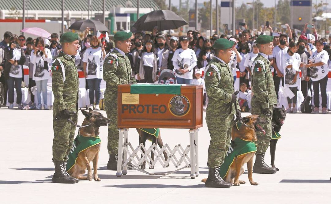 En el homenaje a Proteo, los binomios caninos montaron una valla de honor. El público usó playeras con la imagen del perro. 