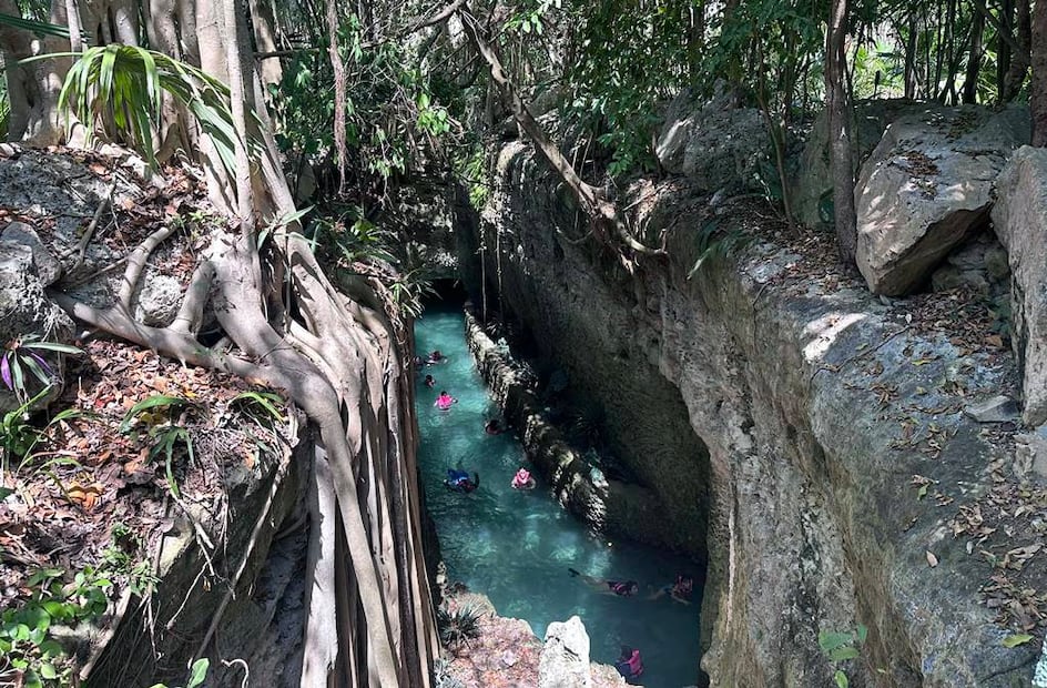 Foto: Omar Moreno. El Universal