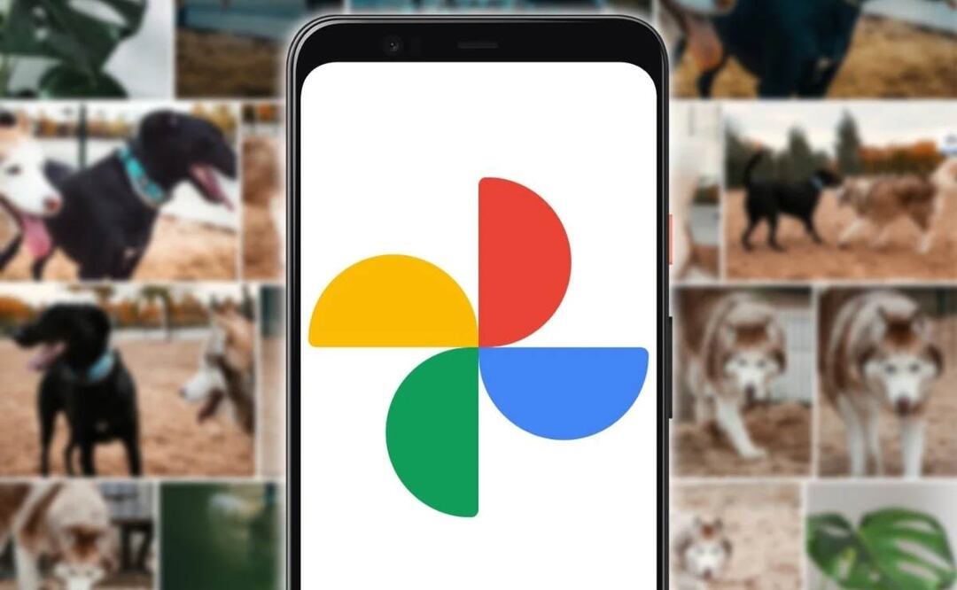 Google Fotos es una aplicación que sirve para almacenar fotografías en la nube, así como archivar y ver las imágenes que tienes guardadas de forma local en tu celular