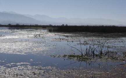 Llaman a no devastar humedales de Lerma