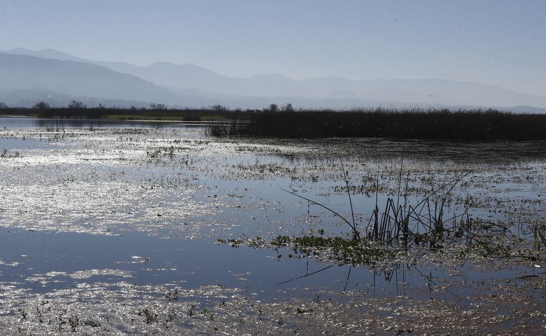 Fotos: Jorge Alvarado/ EL UNIVERSAL.