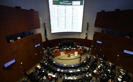 Por reservas de Morena, regresan a Diputados minuta de Ley de Derechos