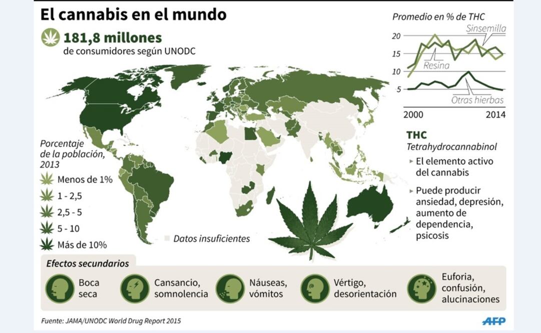 Bachelet saca marihuana de lista de drogas duras